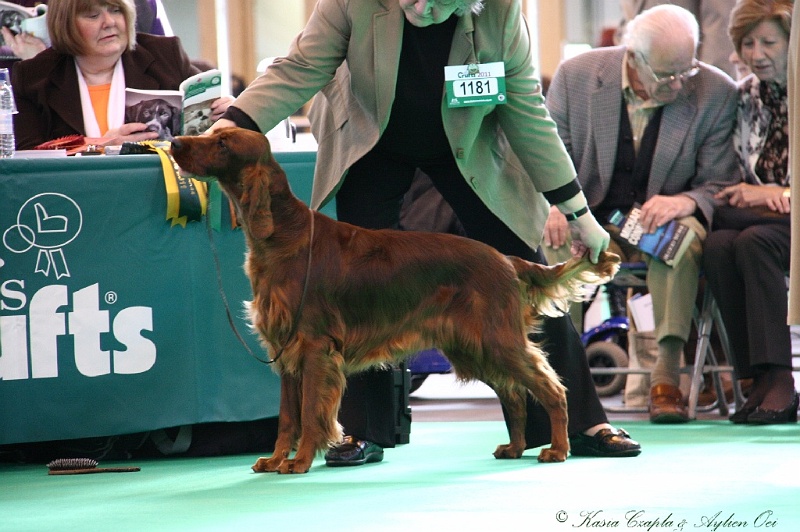 Crufts2011 103.jpg